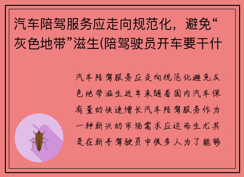 汽车陪驾服务应走向规范化，避免“灰色地带”滋生(陪驾驶员开车要干什么)